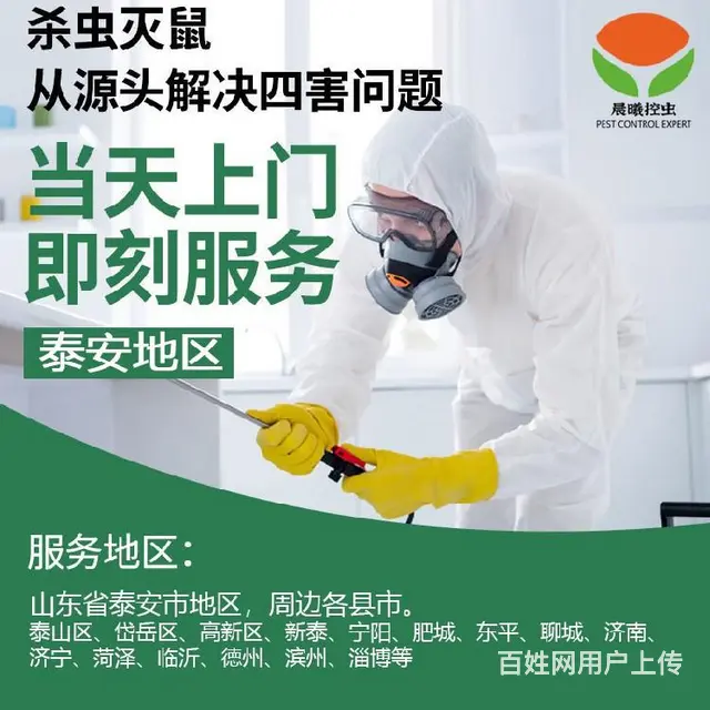东平县抓老鼠晨曦控虫专业团队 - 图片 1