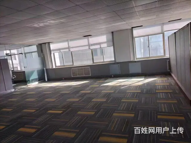 九龙城南厂房仓库出租 - 图片 7