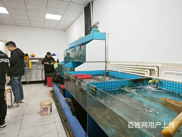 （老板本人）长沙县繁华商圈，网红中茂城精装海鲜水产店低价转让 - 图片 6