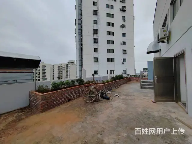 （汽车西站）周边 顶层270平 摄影 直播等 - 图片 6