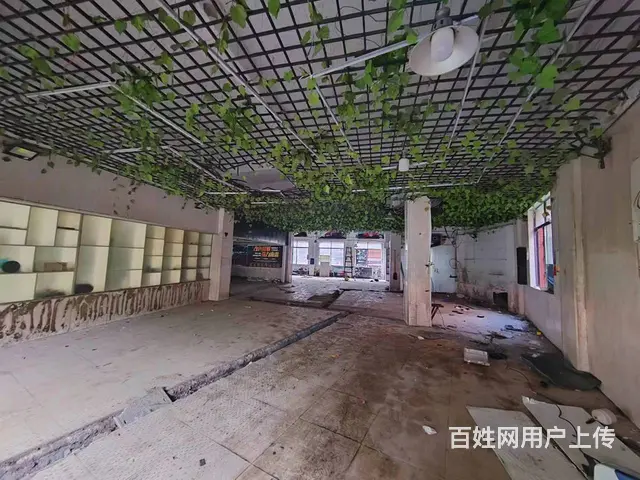 (老板本人)雨花亭商圈中心医院北门临街商铺办公楼出租可分租 - 图片 2