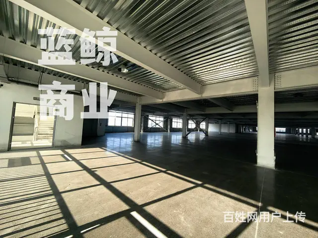 开发区2万平厂房可分组 - 图片 9