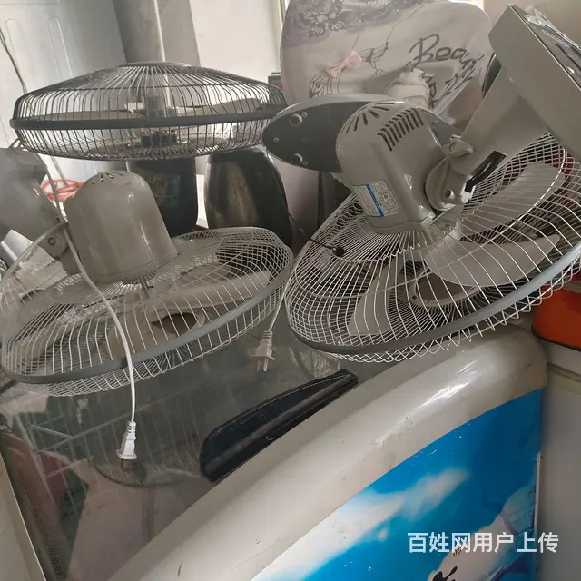 6个吊扇出售 - 图片