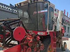 转让福田小麦收