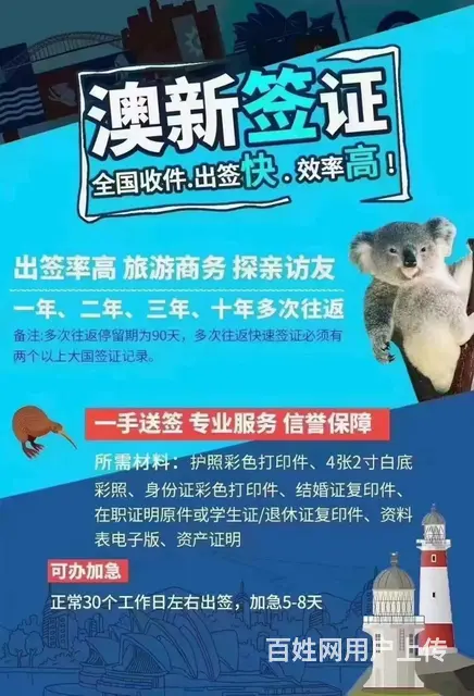 各国签证办理代办 - 图片 1