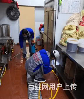 消杀公司丶专业提供除蚊蝇公司 - 图片 1