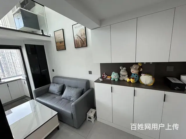 4号线罗家港站 网红公寓 直达岳家嘴 徐东 洪山广 - 图片 2