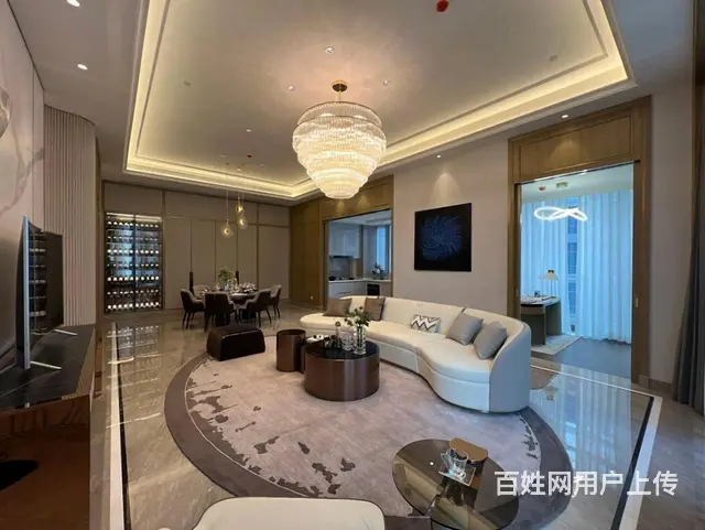 桃源时代大平层公馆330方豪装首付仅250万左右住宅式带阳台 - 图片 9