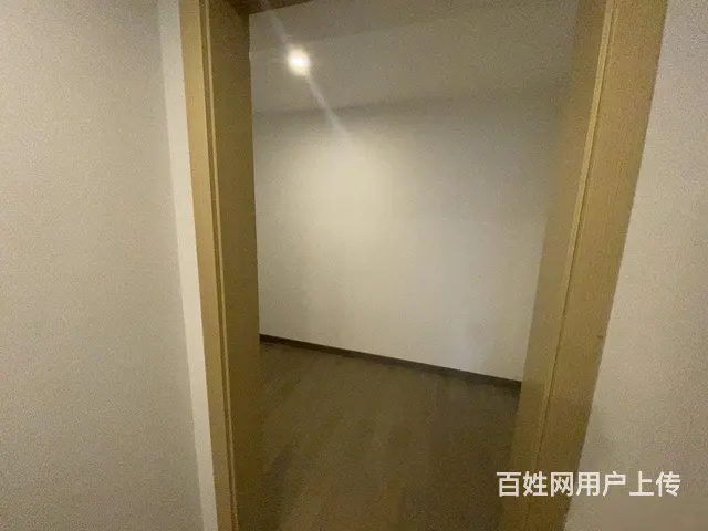 西溪美岸，未来科技芯，4.79米双钥匙双户，阿里全 - 图片 10