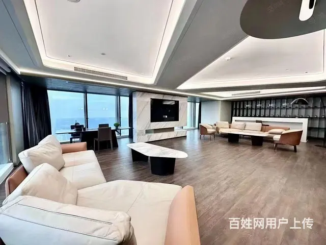 东方希望天祥广场地铁世纪城顶跃天际豪装办公写字楼出租 - 图片 6