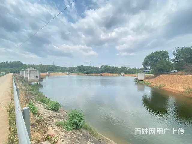 (房东直租)秋江线旁30亩鱼塘，带15亩房屋场地出租，可分租 - 图片 1