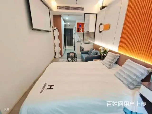 房東直租 华庭街 月河 旭辉广场多套公寓 全装全配好停车 - 图片 10