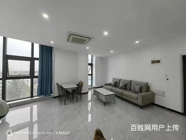 八里中心广场 公寓1厅 精装修 - 图片 1