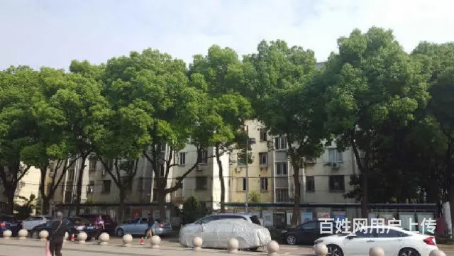 三元一村一楼带院子两室地铁一号线 西环路  彩香 菱塘 金门 - 图片 11