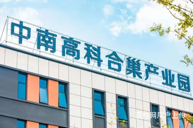 合巢产业新城 中南高科准现房轻钢、框架可选 - 图片 3