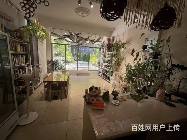 （51旺铺推荐）阳区海螺40平花艺店转让 - 图片 11