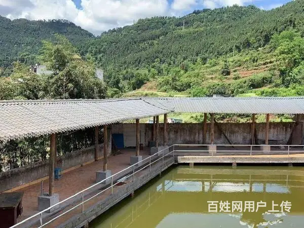 （达州铺源网）北外石龙溪1000㎡农家乐出租 - 图片 1