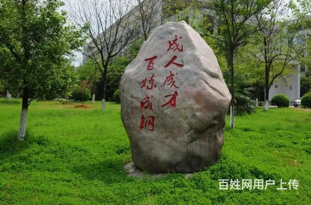 湖北师范大学继续教育学院成人高考专升本轻松拿证 - 图片 2