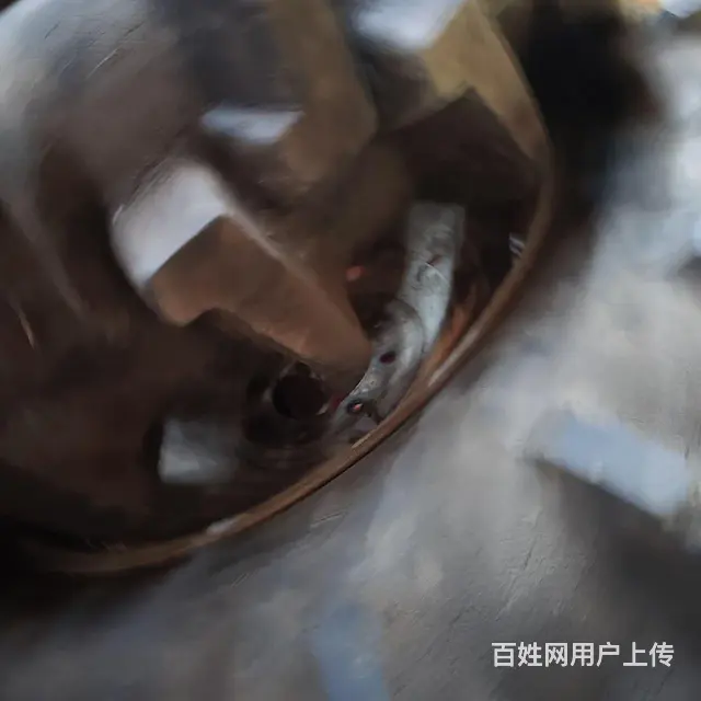 【搞定了！】一对高花水田胎全套 - 图片 6