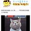 易宝名车汇 黄小姐
