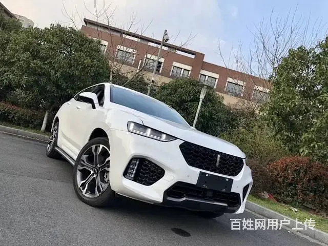 WEY VV7 2017款 VV7s 2.0T 双离合 豪华 - 图片 11