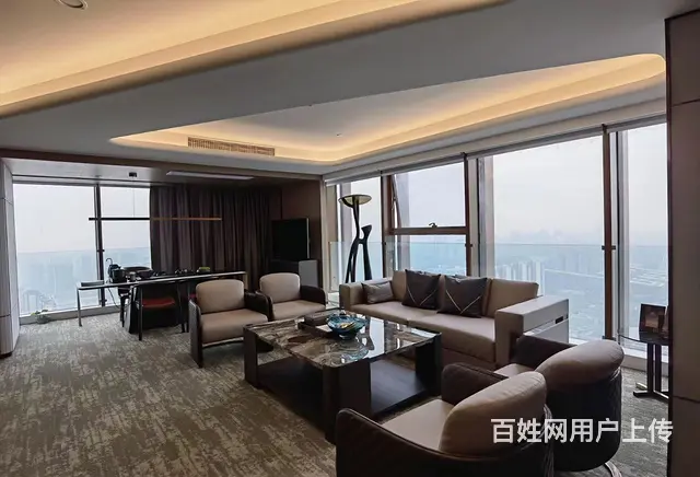 东方希望天祥广场地铁世纪城跃层顶跃19隔间200工位出租 - 图片 3