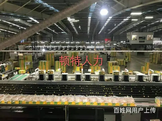 合法工签出国务工，轻轻松松年入40万+ - 图片 1