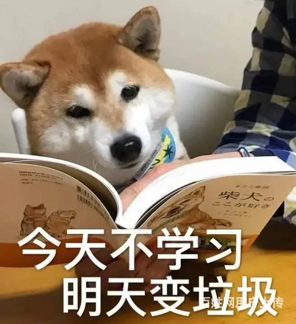 张家港中级会计职称报考-中级会计面授班在哪里有 - 图片