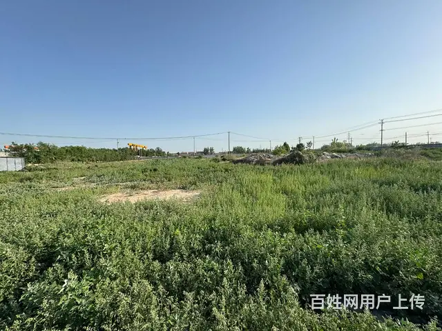 （徐州找店网）睢宁附近场地出售 - 图片 1