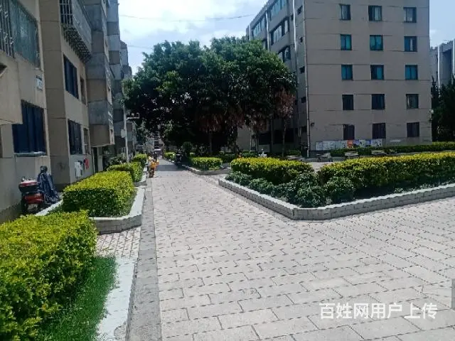 【搞定了！】有谁想到，
电力巷的房子单价5000就卖 - 图片 11