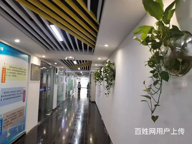 湛江市科技企业孵化器写字楼招商 面积30-400m² - 图片 3