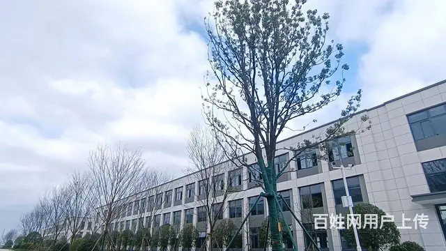 企业选址 独栋产品 一栋一企业 按揭3成起  50年产权 - 图片 2