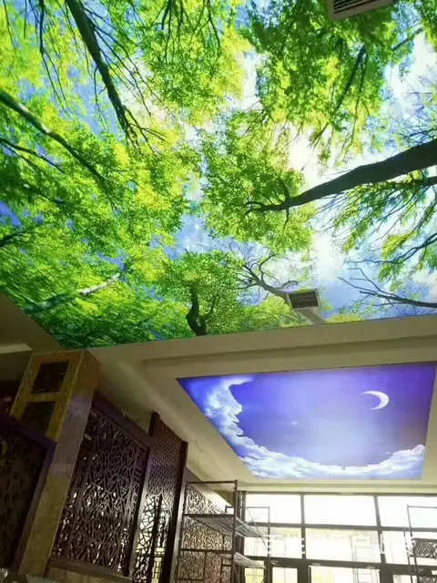 定西洗浴中心软膜天花吊顶 抗老化浴区VIP区吊顶 - 图片 2