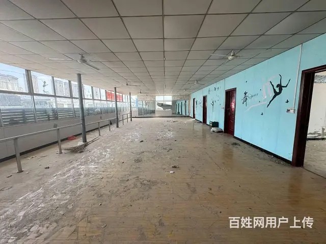 （徐州找店网）泉山区西三环边王新庄独院出租 - 图片 9