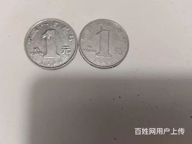 千年菊花龙龙 - 图片 5