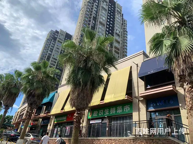 发展大道优抚医院旁400平临街店铺招商出租 - 图片 3