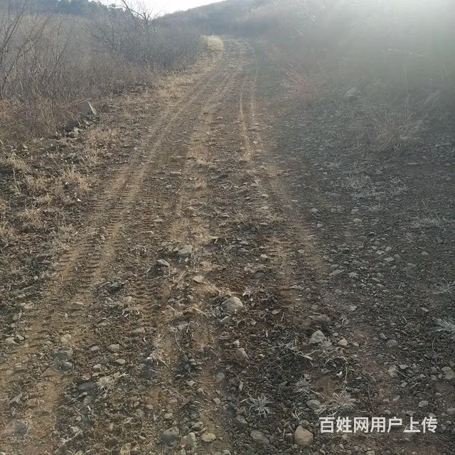 荒山转让 - 图片 3