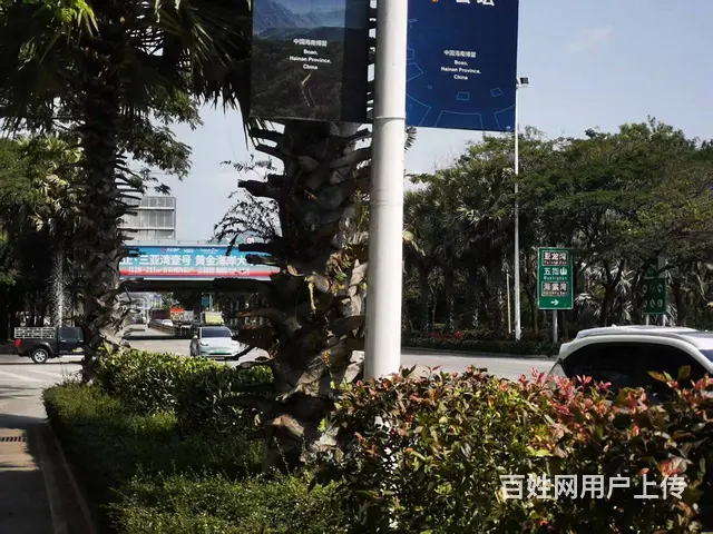 （51旺铺推荐）天涯区水蛟路临街整栋600平出租（房东直租 - 图片 6