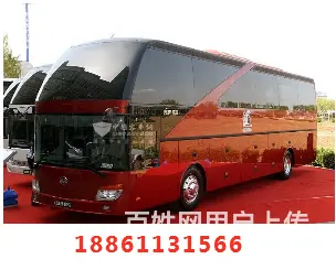 镇江到青岛宠物托运 18861131566 - 图片 2