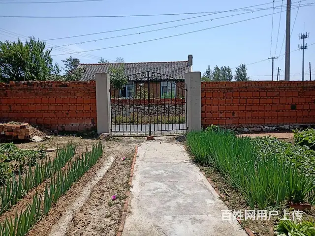 农村房屋月出租200 - 图片 9