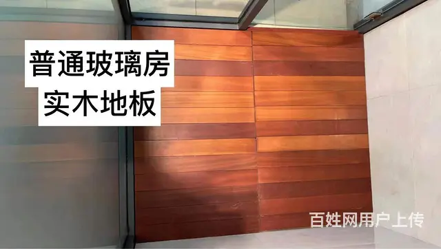 常熟训犬基地宠物寄养 - 图片 4