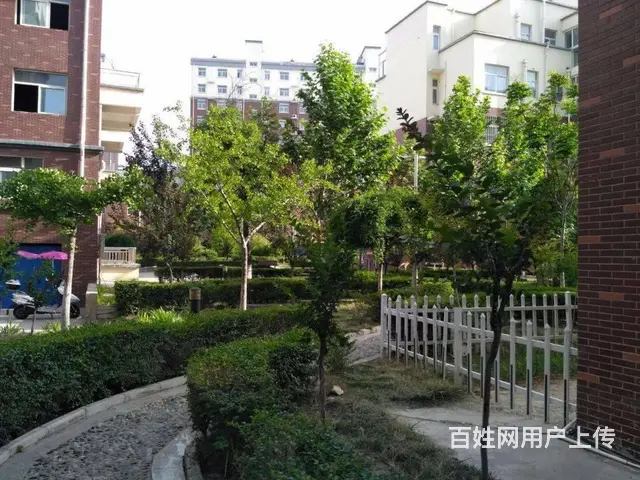 陕州区温塘政法花园新房出售（送地下室、送花园） - 图片 3
