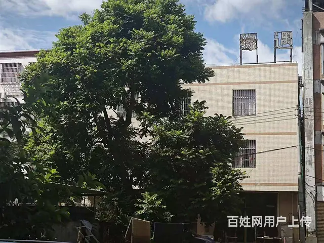 （51旺铺推荐）桂林洋东海涛大道3000平民宿转让 - 图片 7