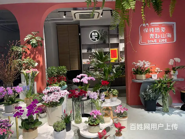 滨江长河十字路口美容美发美甲宠物花店转让 - 图片 7