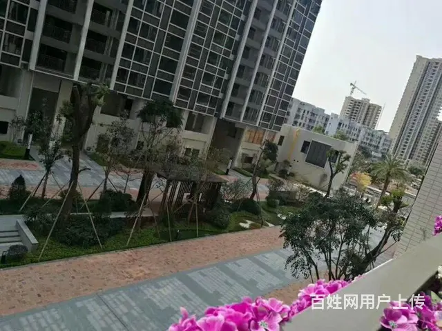 华颢豪庭 市区*的楼盘 直通深中通道 - 图片 3