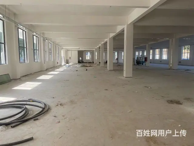 （房东出租）张村魏桥电厂附近纯一层新框架标准厂房出租 - 图片 6