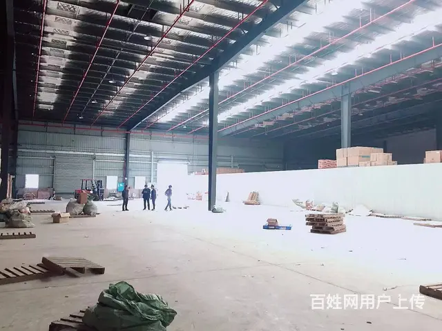（老板本人）望城金桥仓储物流中心一楼厂房仓库优价出租6118 - 图片 4