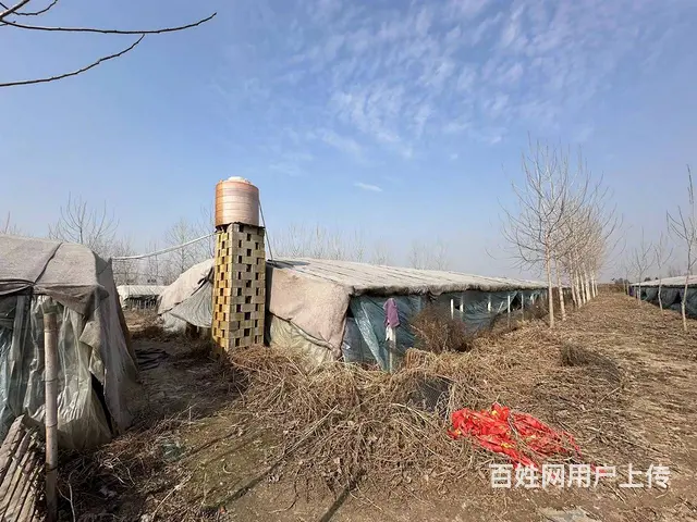 （弘扬快讯）铜山区三堡胜阳养殖场出租 - 图片 5