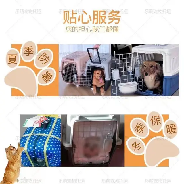 开封开封托运宠物 （猫狗活体运输）快递至全国各地 - 图片 1