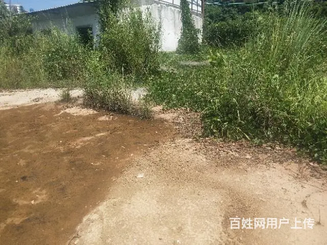出租普宁中药市场周边空地约10亩 - 图片 2